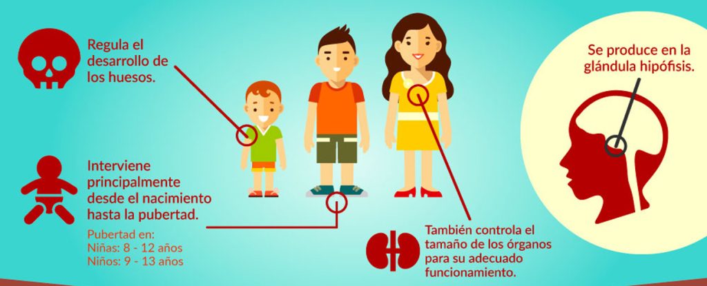 HORMONAS DE CRECIMIENTO
